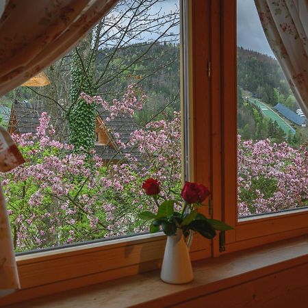 Regionalny Domek Pod Skocznia Zakopane Eksteriør bilde